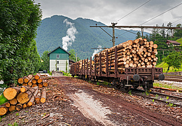 Foto: Shutterstock / Patryk Kosmider