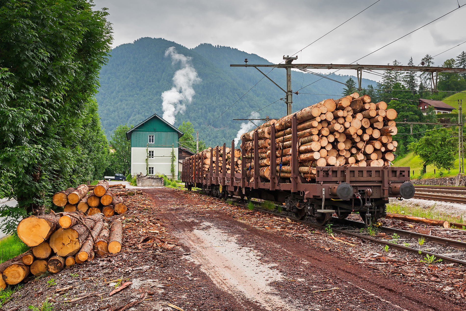 Zwischen Anspannung und Aufbruch: So startet die Holzindustrie ins Jahr 2025